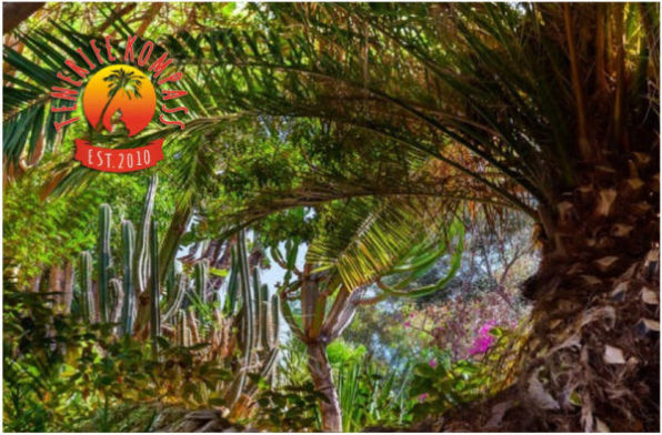 Jungle Park | teemapargid Tenerifel